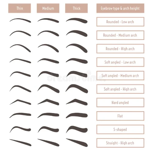 Brow Shape Guide