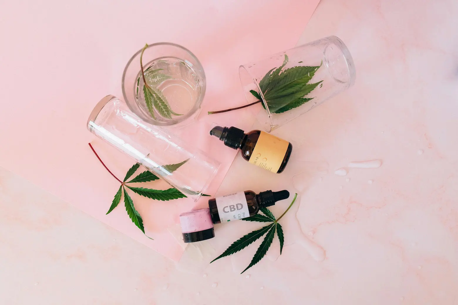 Collection of organic beauty oils with herbal ingredients