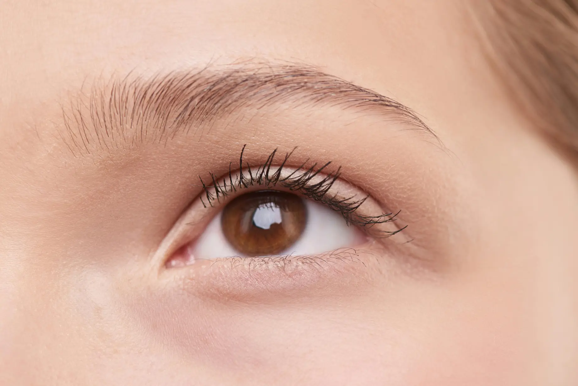 how to grow eyelashes with healthy lash care