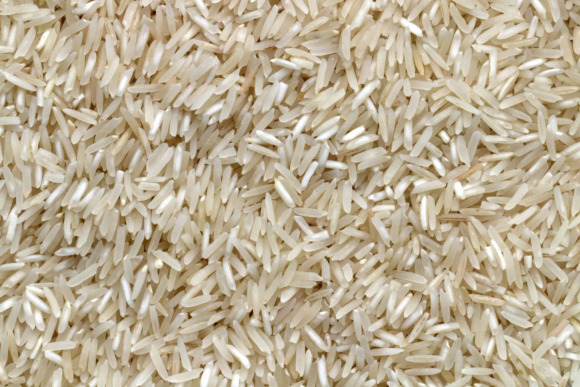 Rice grains on a surface